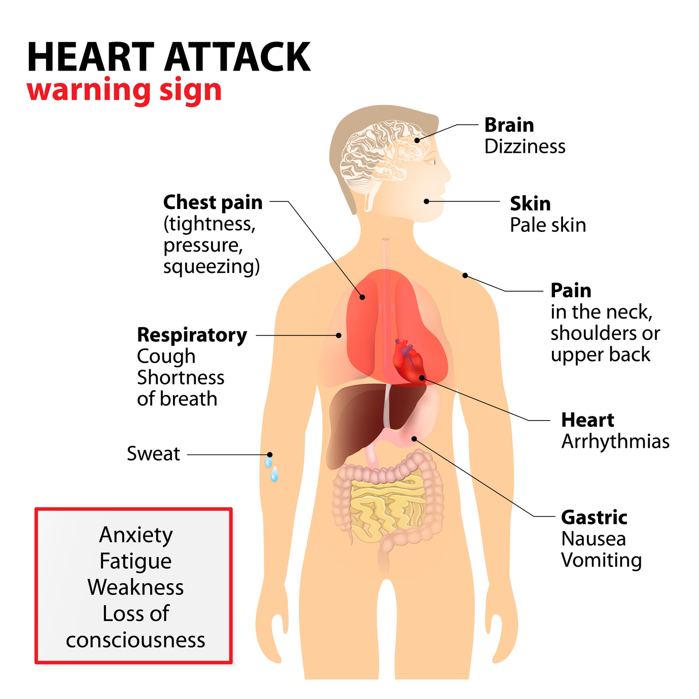 What Can Cause Sharp Pain In The Middle Of Your Chest